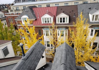 Roof Maintenance in Alexandria,VA,22301 (1)
